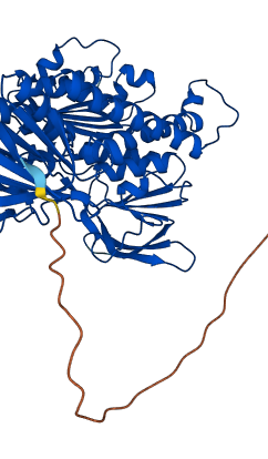 DLD 3D structure