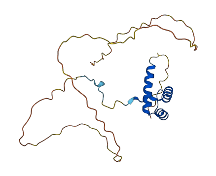 HOXB7 3D structure