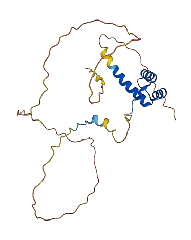 HOXC6 3D structure
