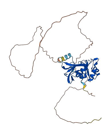 HNRNPA1 3D structure