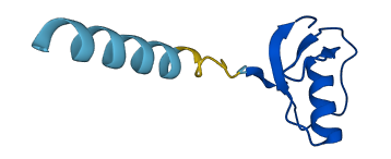 Spink1l 3D structure