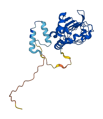 SNRPA1 3D structure