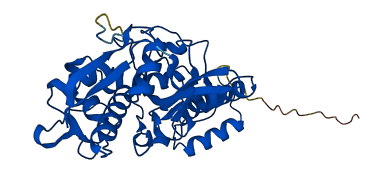 CTSH 3D structure