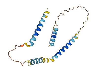 GIP 3D structure