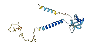 CD3G 3D structure
