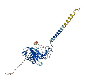 TACSTD2 3D structure