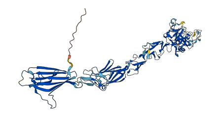 C1S 3D structure