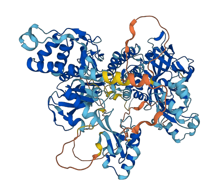 PARP1 3D structure