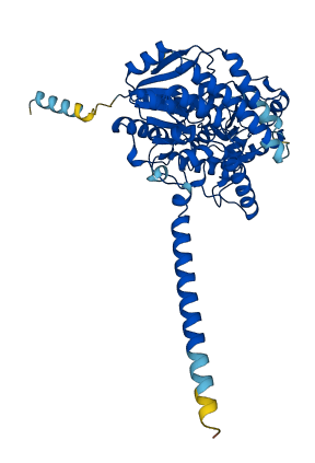 Ugt2b1 3D structure