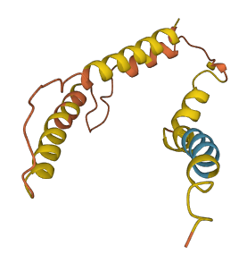 IFI6 3D structure