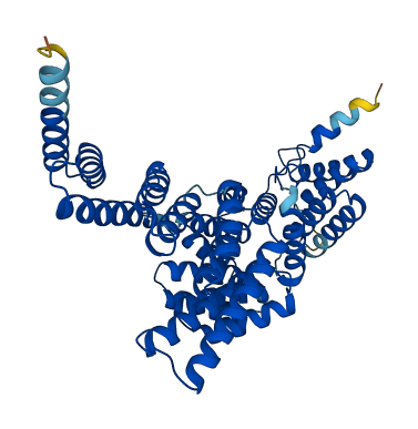 IFIT1 3D structure