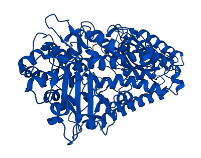 ALOX5 3D structure