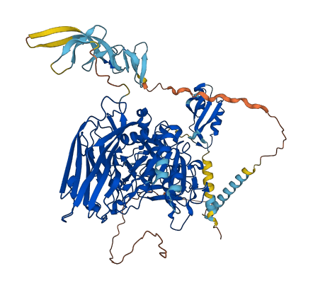 FURIN 3D structure