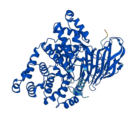LTA4H 3D structure