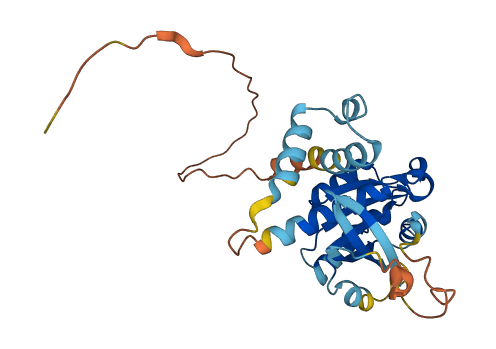 RAB40AL 3D structure