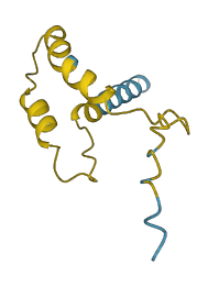NPS 3D structure