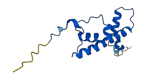 H2AC11 3D structure