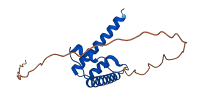 H2BW2 3D structure