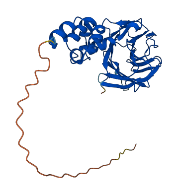 FBXO45 3D structure