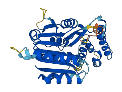 FAM86B2 3D structure