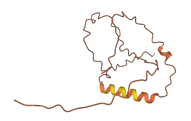 CT62 3D structure