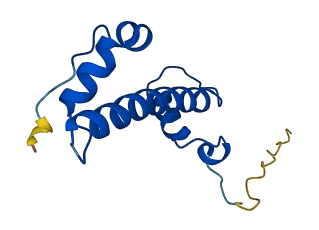 H2AB2 3D structure