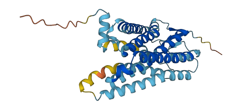 OR4A8 3D structure