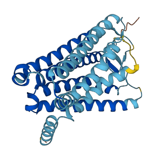 OR4Q2 3D structure