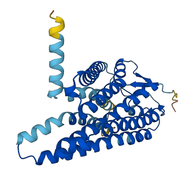 OR5G3 3D structure