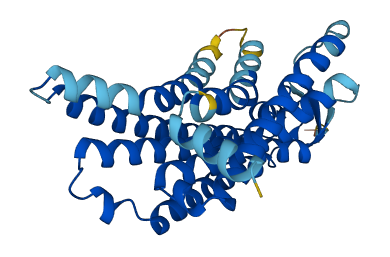 OR5AC1 3D structure