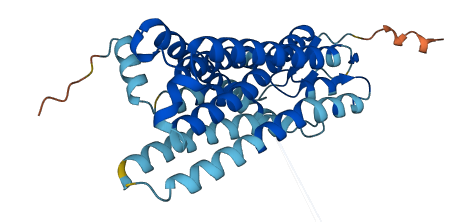 OR4E1 3D structure