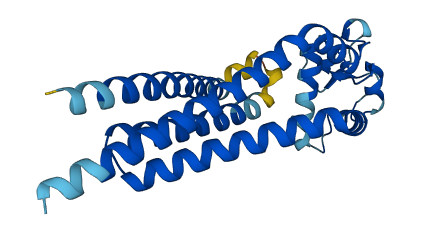 TSPAN19 3D structure
