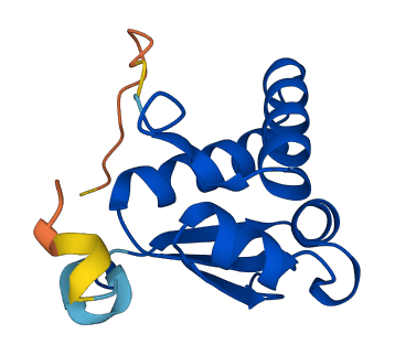 Khdc1b 3D structure