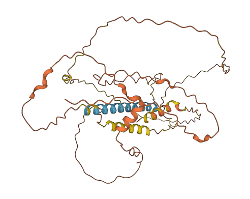 FAM153B 3D structure
