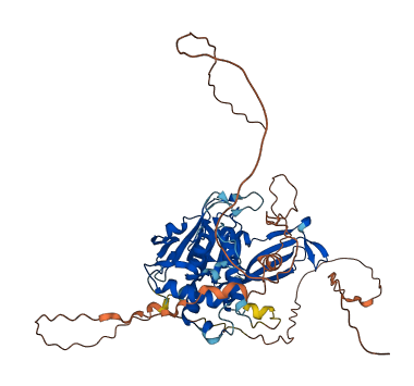 USP17L8 3D structure