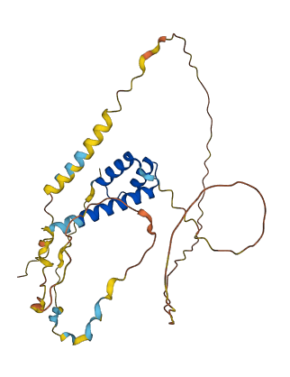 RHOXF2B 3D structure