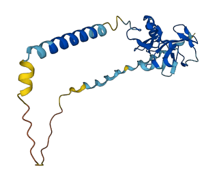 CLEC2L 3D structure