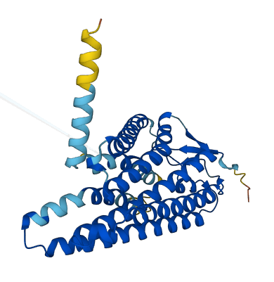 OR8U8 3D structure