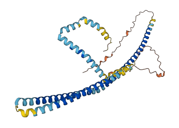TMEM191B 3D structure