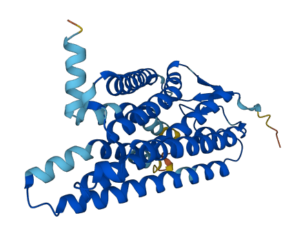 OR8U9 3D structure