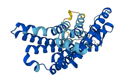 OR9G9 3D structure