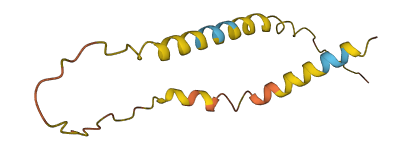 RFPL3S 3D structure