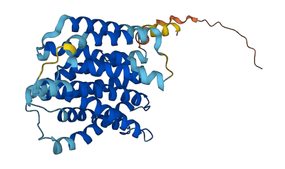 SLC35G4 3D structure