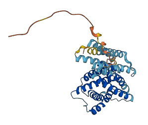 SLC35G6 3D structure