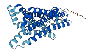 OR56A5 3D structure