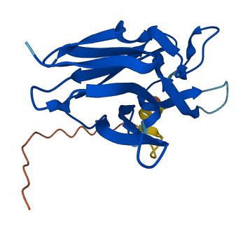 ASAH2B 3D structure