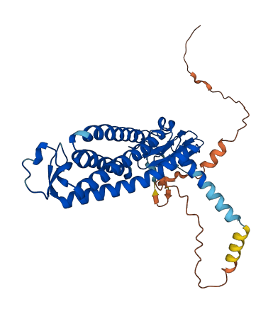 ZDHHC11B 3D structure