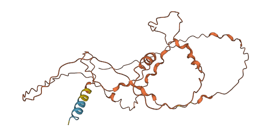 LINC00271 3D structure