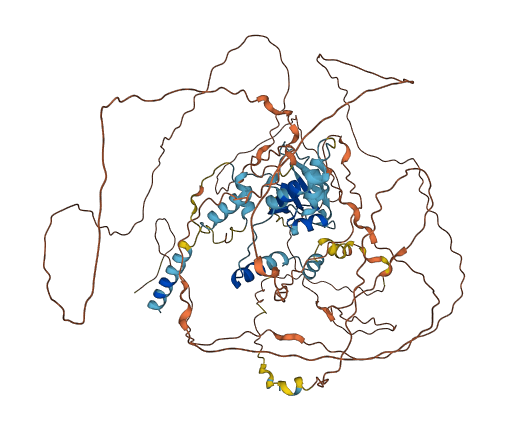 SUPT20HL2 3D structure