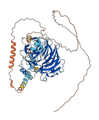 DCAF8L2 3D structure
